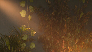 Sexy webcam show met lilithbrown Sexy webcam show met lilithbrown